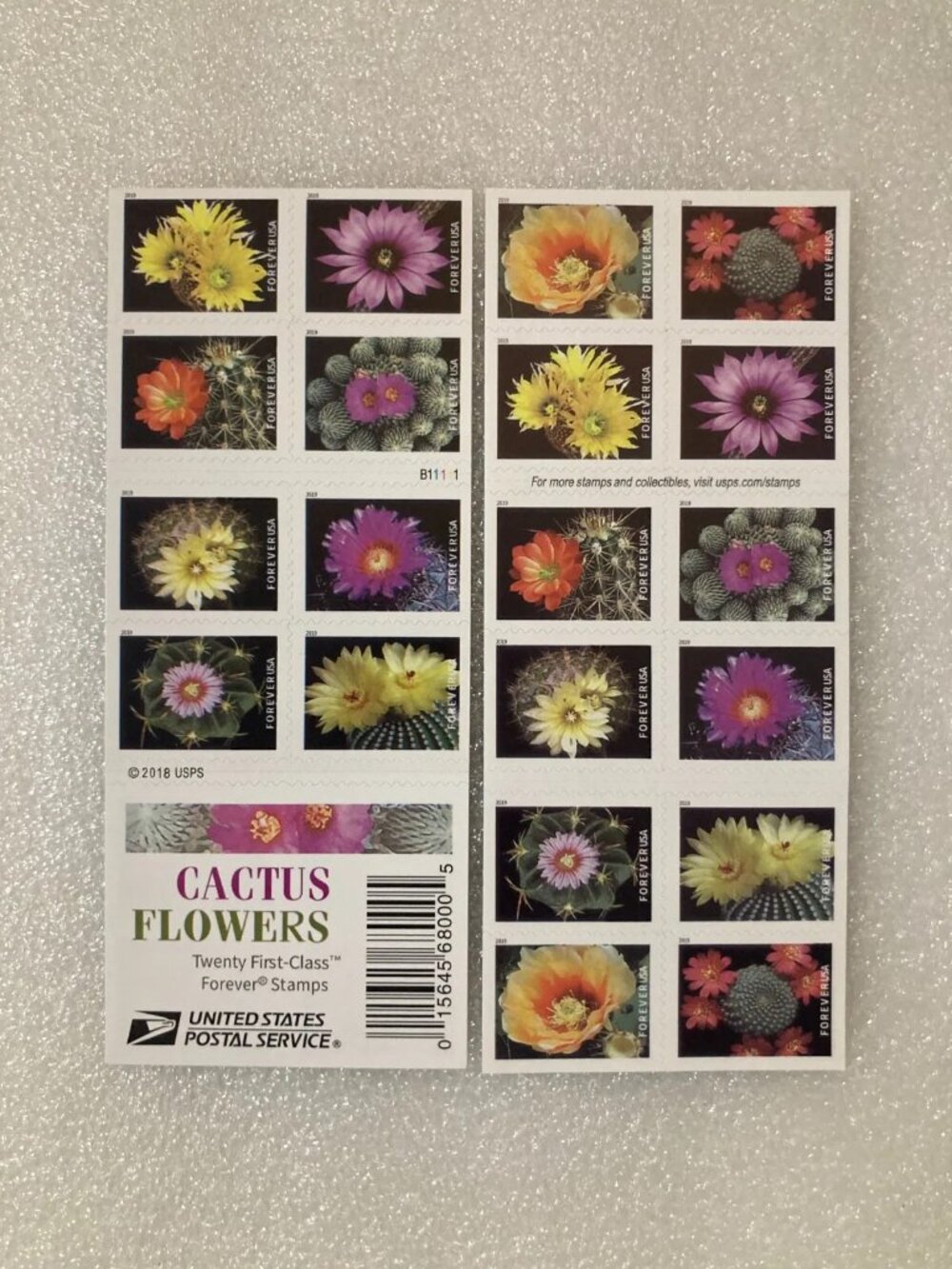 6000 Cactus Flowers Forever Stamps 500 Booklets of 20 6000 stamps